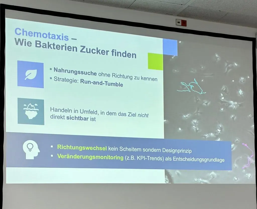 Überblick zu Chemotaxis: Wie Bakterien und Motten ihre Ziele finden