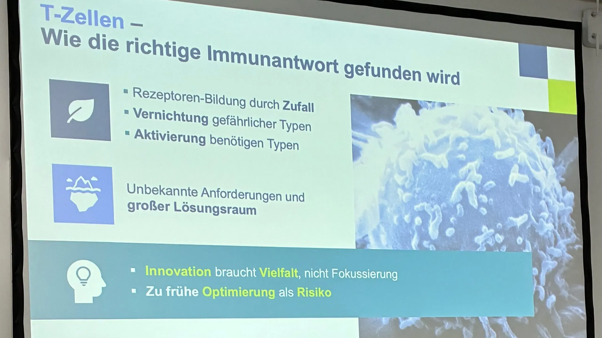 Übersicht zu T-Zellen-Vielfalt und Innovationsprinzipien des Immunsystems
